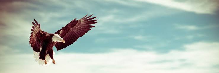 schoneKage's profile banner image