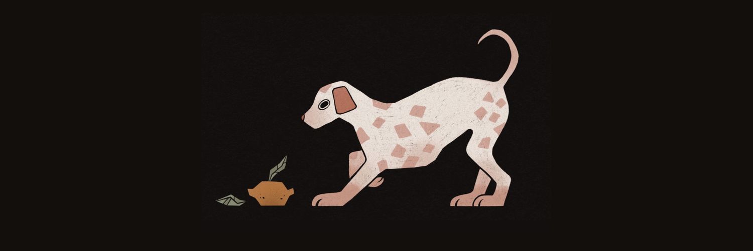 _ ᴀɴᴀᴠᴀᴍᴘ's banner