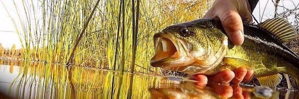 NewProProducts's profile banner image