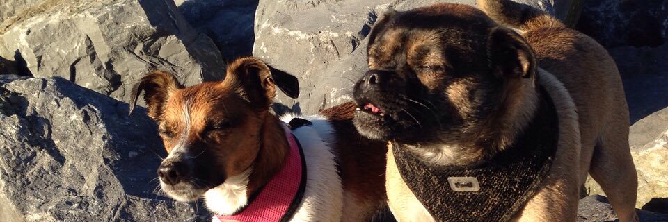 Lee Glanville banner