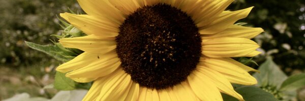 KoenMK Profile Banner