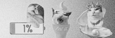 ShaimaKooheji's profile banner image