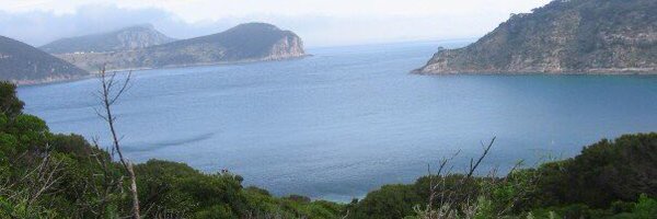 clearticulation Profile Banner