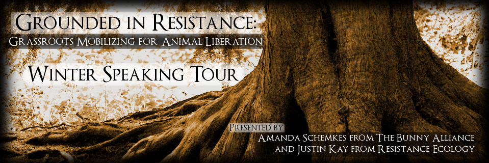 resistanceeco's profile banner image