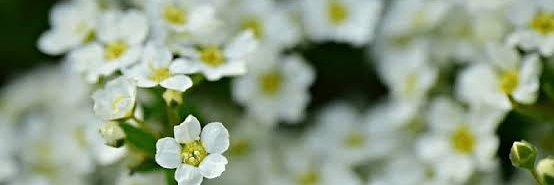 asante_doris's profile banner image