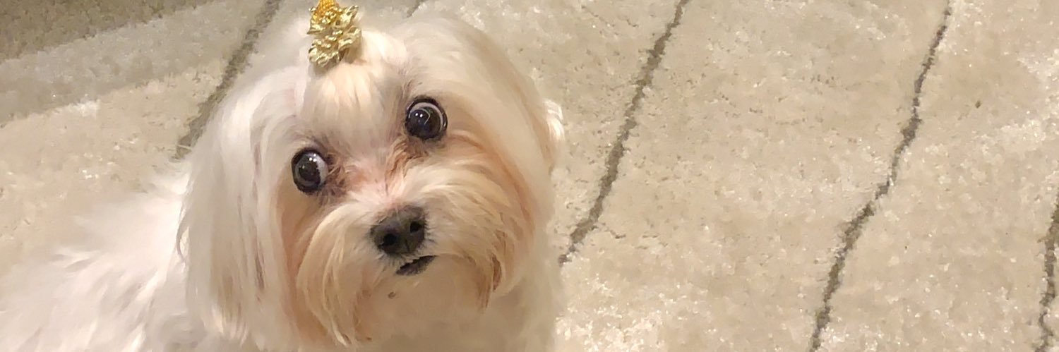 amandazem1's profile banner image