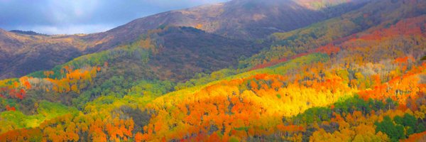 benreade Profile Banner