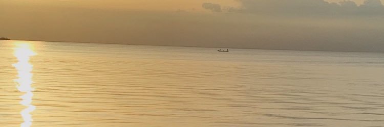 Janetnwose's profile banner image