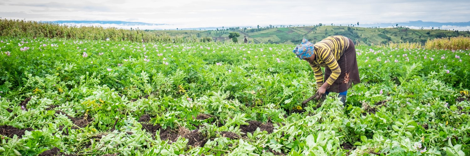Global Agriculture & Food Security Program's banner