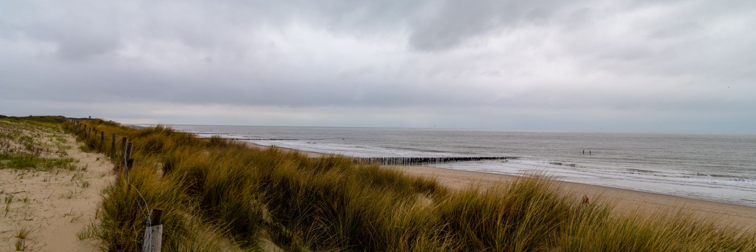 Wilbert den Besten banner