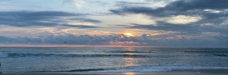 fifimzn's profile banner image