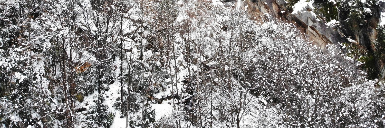 Fermin Ithuralde  banner