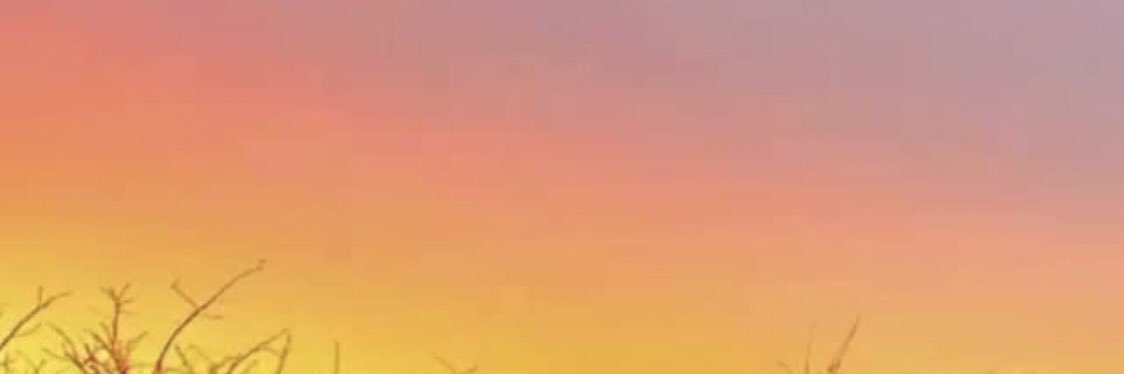 meeeeeeeeeeks's profile banner image