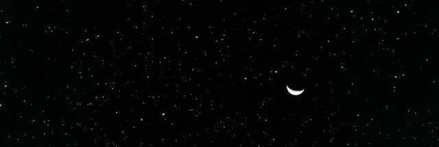 gaia🦋 banner