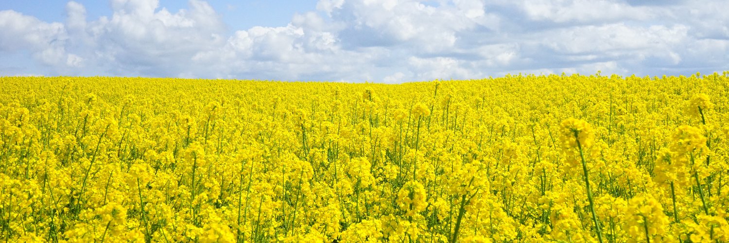 CondimentumUK banner