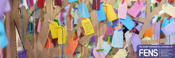 network_alba Profile Banner