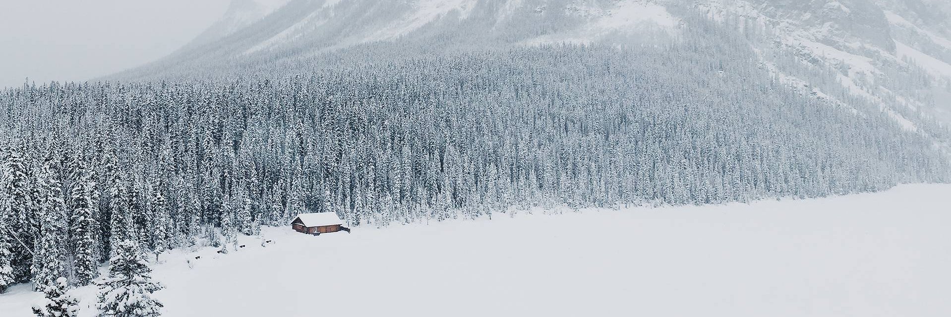 Cenk Özmercan banner