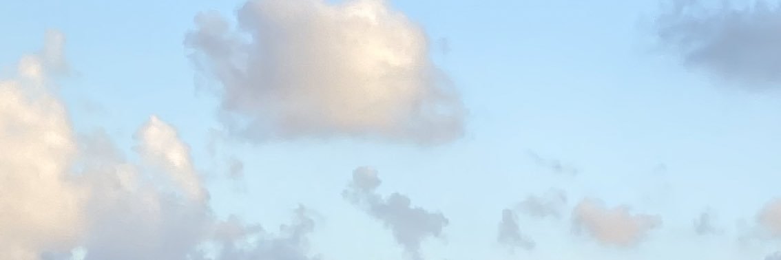 emthefroot's profile banner image