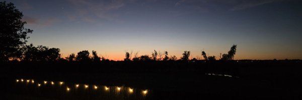 saltyalmonds_ Profile Banner