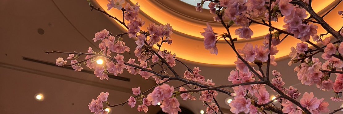 melodymsa's profile banner image