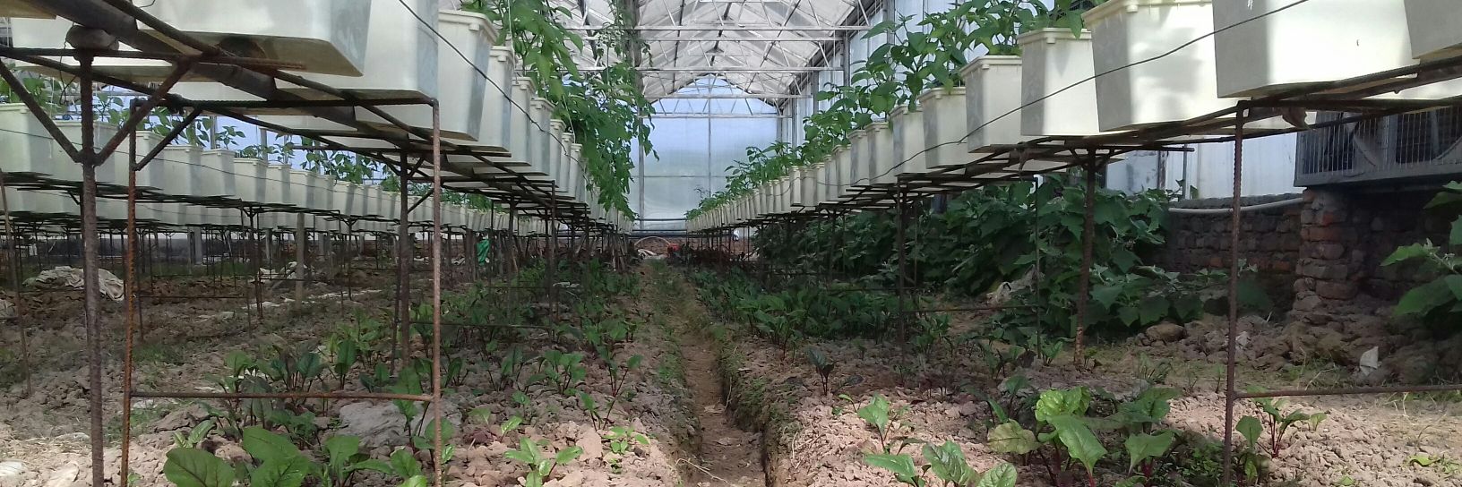 Amrit Mokshaÿatri🐦️ banner