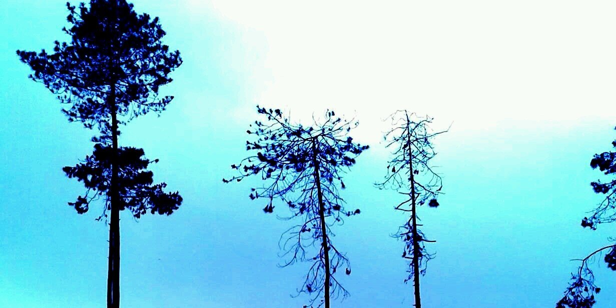 priskahasaragih's profile banner image