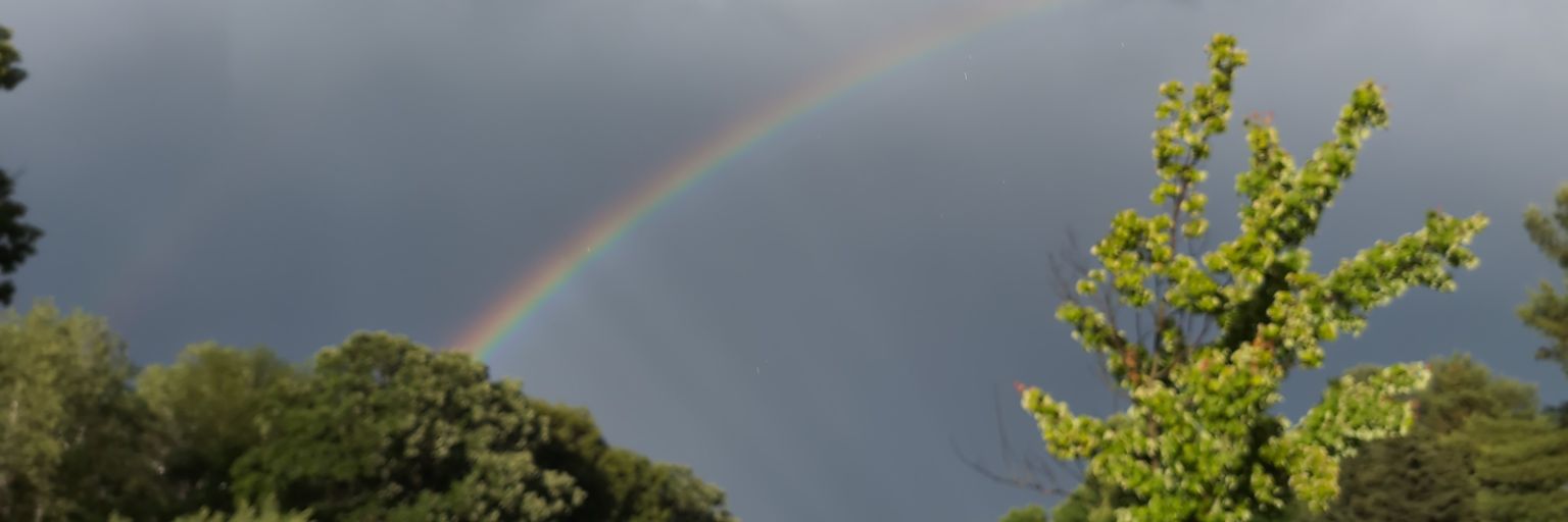 TheRealJKJEG's profile banner image