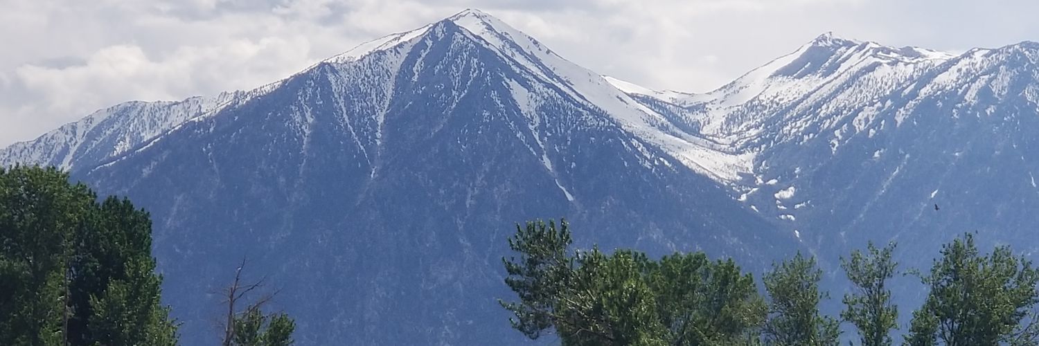 Carsonight's banner