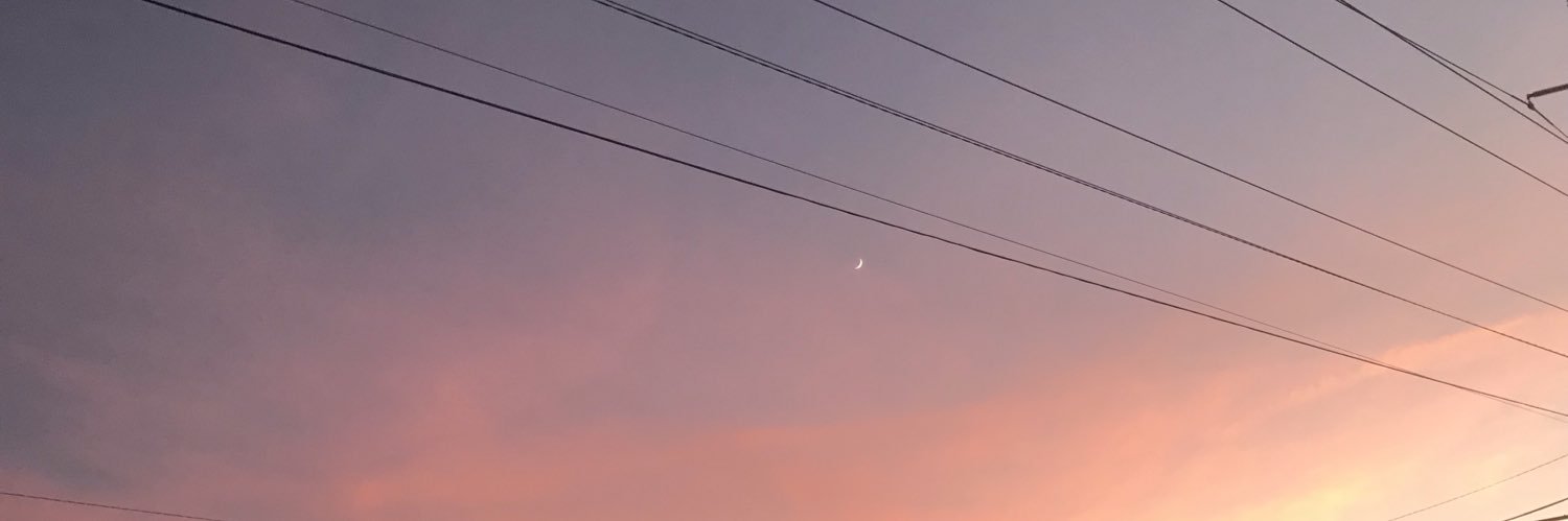 ejlala99's profile banner image