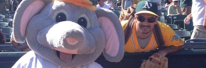 edspich's profile banner image