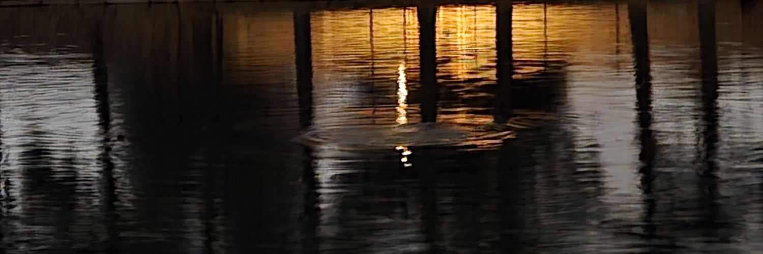 some__95's profile banner image