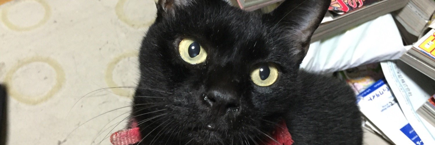 cyobinn1's profile banner image