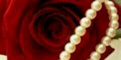 ashaar5's profile banner image