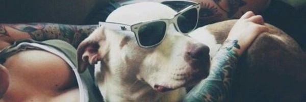 __rossiandrade's profile banner image