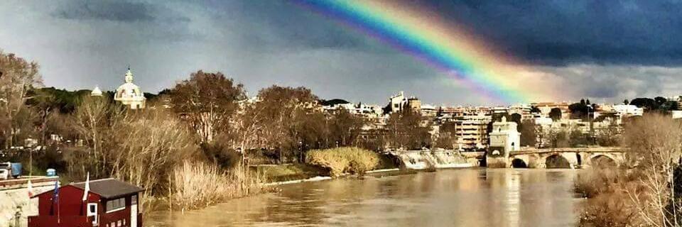 Daniele Torquati banner