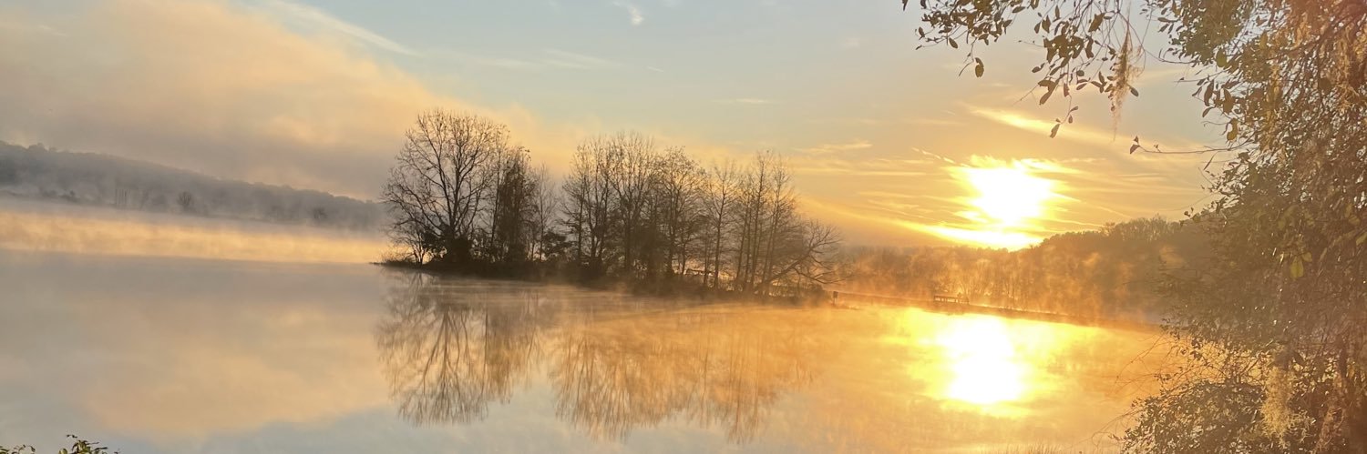 DCalvitCotton's profile banner image