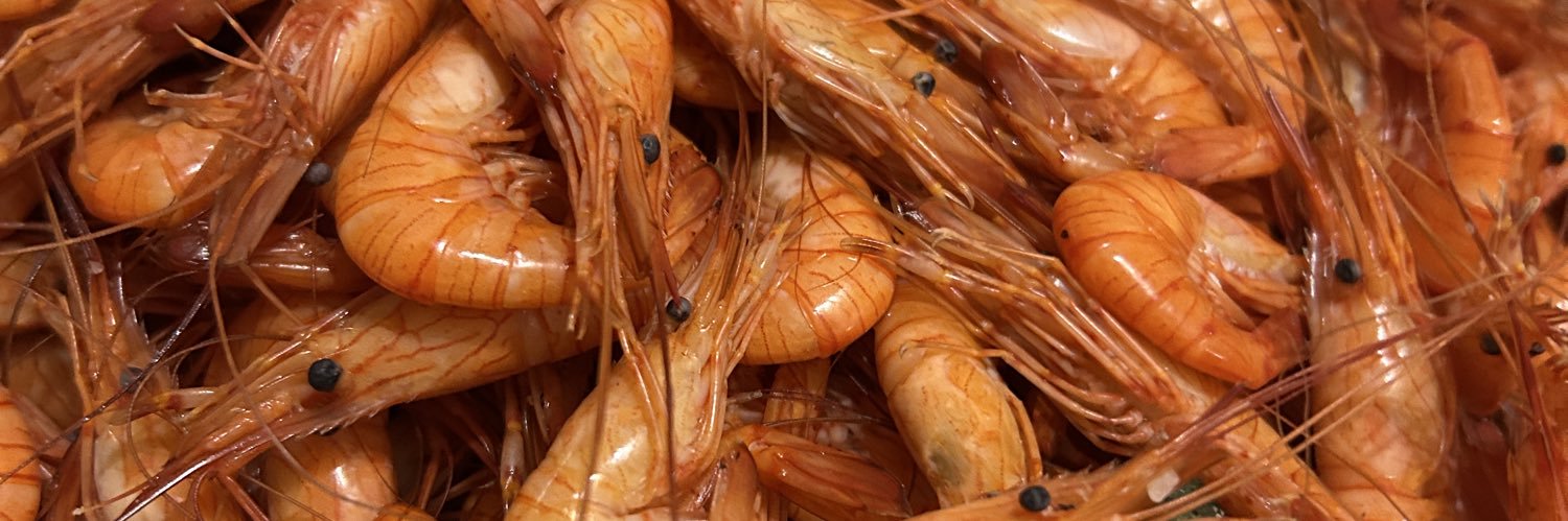 Chema Bescansa banner