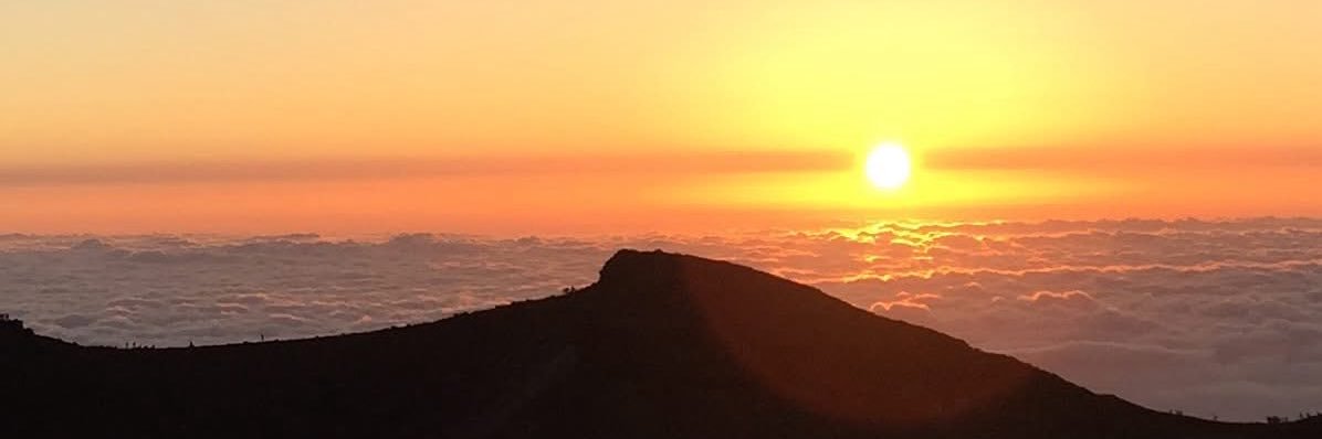 iugoka's profile banner image