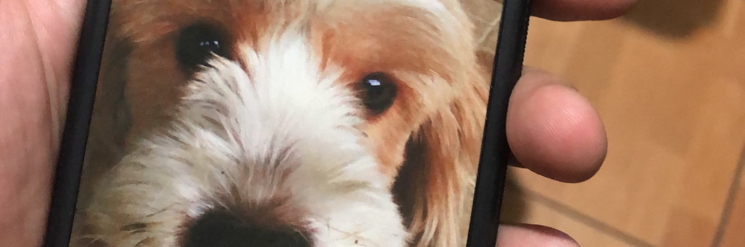JavierIsaacR's profile banner image
