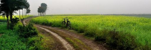 vindhya08's profile banner image