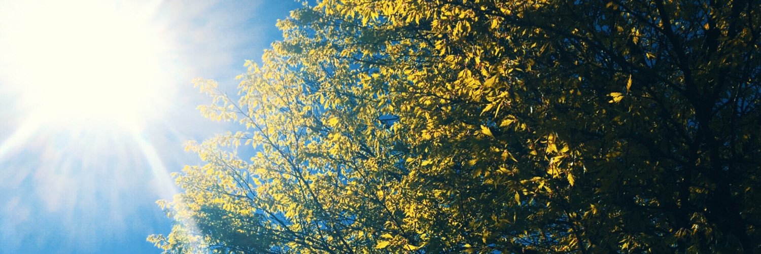 HannahDxo's profile banner image