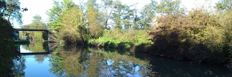 Dominique Pernoux (linktr.ee/d.pernoux) banner