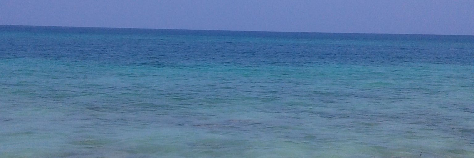 AleSalas30's profile banner image