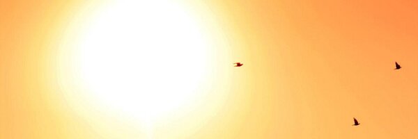 deverhalenmaker Profile Banner