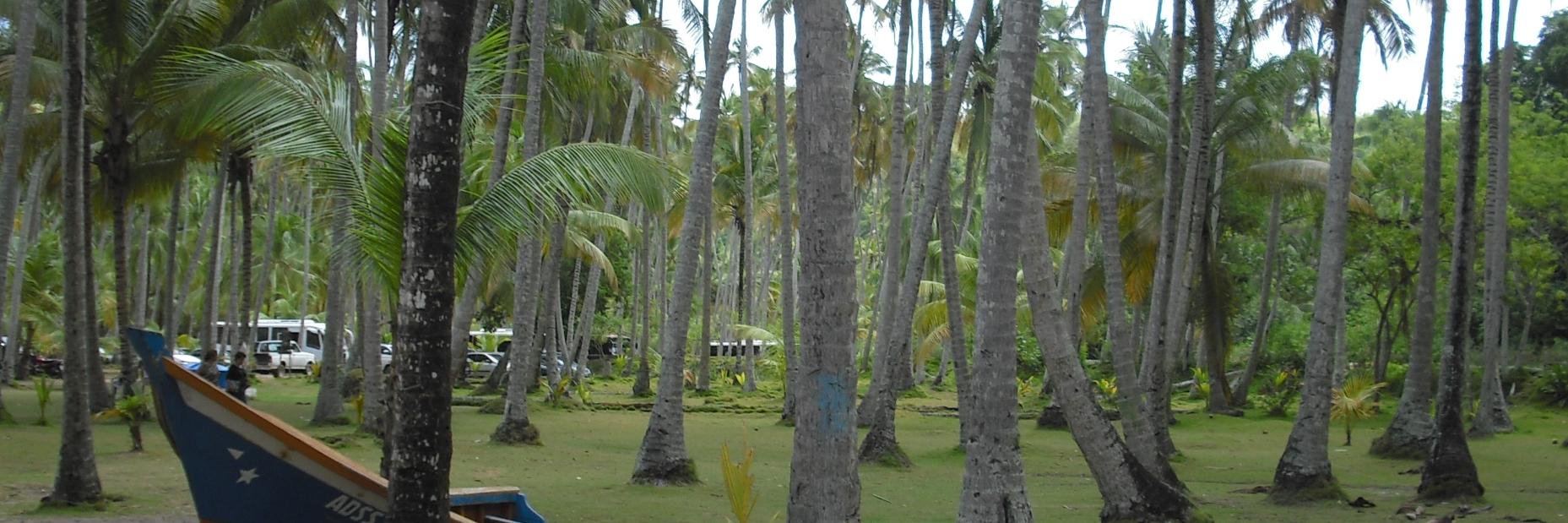 VENANCIO GONCALVES banner