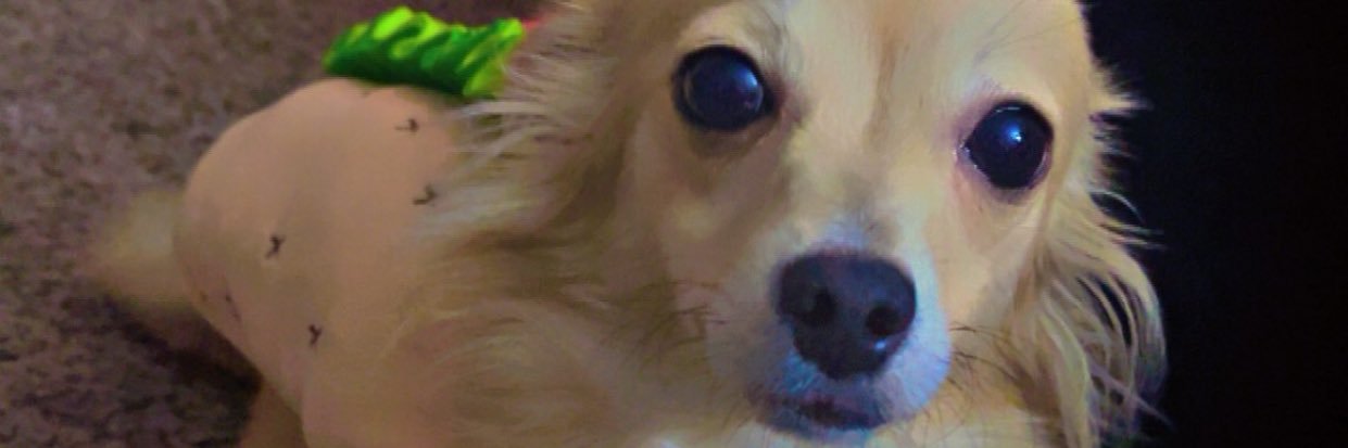 beard0ooo's profile banner image