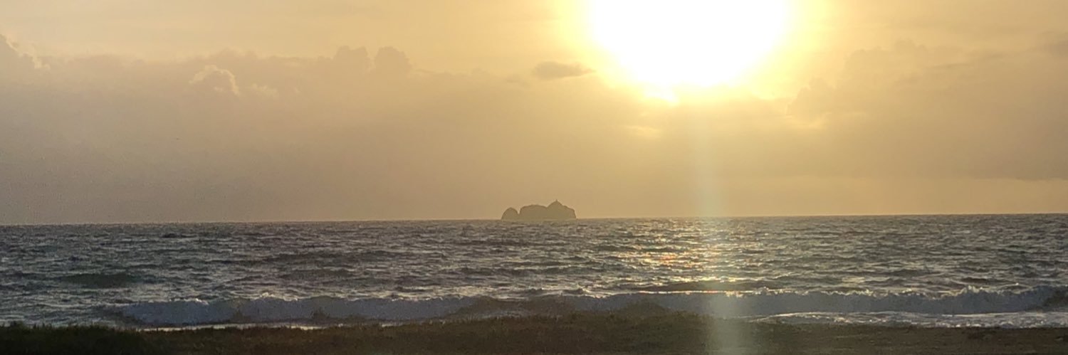 maryvirgin's profile banner image