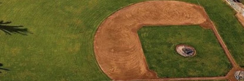Town Ball Schedule Guy's banner