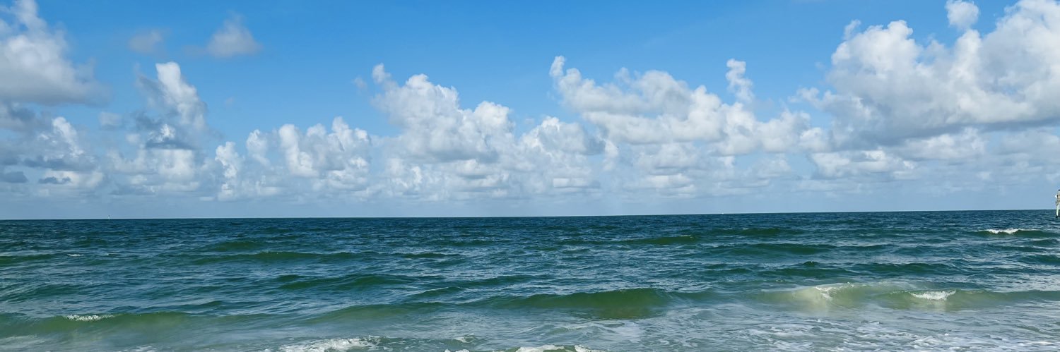 catherinechassa's profile banner image