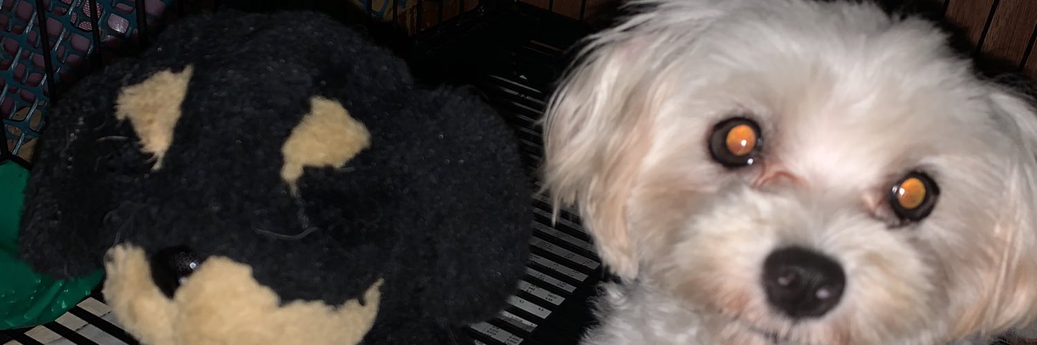 MDuhhmaking's profile banner image